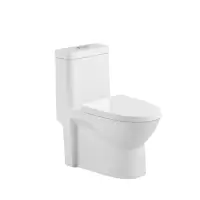 【LONGER】 LE-5625 龙尔坐便器 S弯防臭 孔距300MM 660*340*690（计价单位：套）