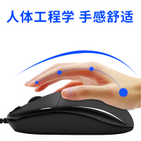 双飞燕(A4TECH)OP-220F 有线鼠标 办公鼠标 便携鼠标 鼠标 台式机专用鼠标 亮黑(计价单位:个)