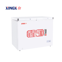 星星(XINGX) BCD-202GA 卧式冷柜 减霜80% 冷冻冷藏两箱体 202升