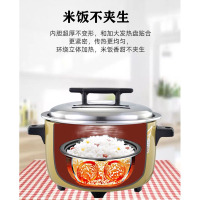 企购优品嬉善 电饭锅 19L