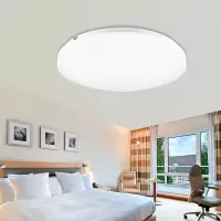LED吸顶灯(WB)18W 白光 圆形卧室灯具书房阳台灯吊顶过道吸顶灯 单位:个