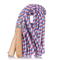 海豹春多人跳绳