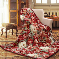 富安娜(FUANNA) 家居用品秋冬保暖毯子 双人盖毯被 保暖厚床单褥子冬天 塞纳舞曲 红色 1.8*2m