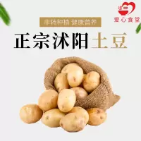 [江苏乡村振兴][财政集采][沭阳]虞美人 沭阳土豆 25kg