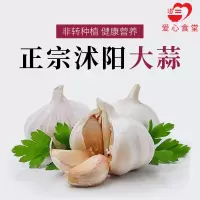 [江苏乡村振兴][财政集采][沭阳]虞美人 沭阳大蒜 25kg