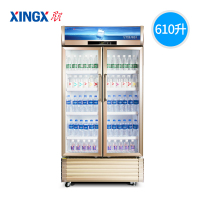 星星(XINGX) LSC-610WD 商用展示柜 双门商用 立式风冷 冷藏展示柜超市用 饮料柜保鲜柜 610升