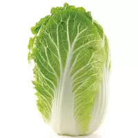 大白菜 单位:斤