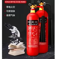 洪湖 灭火器 二氧化碳灭火器3公斤 CO2手提式气体二氧化碳灭火器3KG 机房精密仪器灭火器MT/3