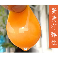 SF蛋白桑鸡蛋45个 FPSFX0047