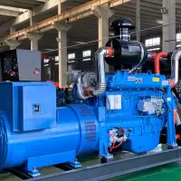 潍坊柴油机发电机组TSL300GF 300kw