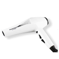 飞科(FLYCO) 电吹风 FH6102 单个装