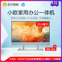 HP/惠普星系列青春版 23.8英寸10代酷睿i5/8G内存/512G固态+1TB机械/集成显卡办公学习一体机电脑