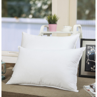 俏庭 双针羽丝绒枕 （单位：只）