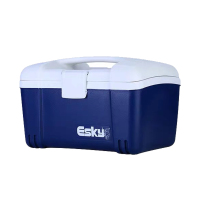 港大专属 ESKY 便捷式塑料冷藏保温箱 食品保鲜箱 12L