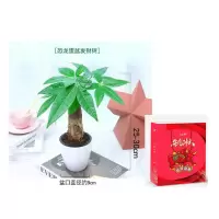 发财树种植套装 25套/箱起购
