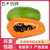 [五个农民]雷州红心木瓜 牛奶木瓜新鲜当季热带水果冰糖大青木瓜树上熟5斤装