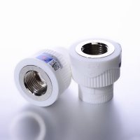 天一金牛PPR内丝直接DN25 1/2冷热水管接头水管配件