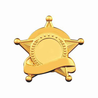 广博(GuangBo) GB-8641 五角星金属徽章胸牌刻字 10个装