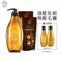 生姜洗发液套装 强根健发洗发5件套 洗535ml+235ml2+60ml2(无硅油 强韧丰盈 修护损伤 男女士 油性)