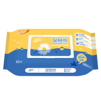 清风(APP)湿厕纸湿巾 私处清洁湿纸巾 40片装(家庭装).