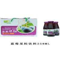 洪江市蓝莓果粒果汁258ml*6瓶 FPHJS0003