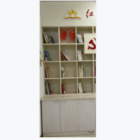 定制胶板书架 200*100*70cm