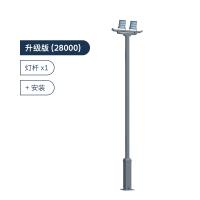 创维(SKYWORTH)创维智慧灯杆 室外灯饰 专业运动娱乐场地整体解决方案 多版本可选 升级版(单杆+安装) 灰色