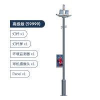 创维(SKYWORTH)创维智慧灯杆 室外灯饰 专业运动娱乐场地整体解决方案 多版本可选 高级版(全套智慧灯杆) 灰色