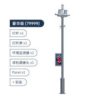 创维(SKYWORTH)创维智慧灯杆 室外灯饰专业运动娱乐场地整体解决方案 多版本可选 豪华版(全套智慧灯杆+安装) 灰