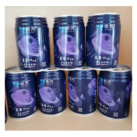 洪江市蓝莓果汁听装250ml*20瓶 FPHJS0005