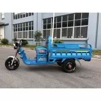 电动车 三轮车