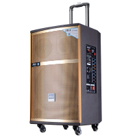 天朗(Tagnngqy)A-09户外拉杆音箱JBA可串联音响大功率移动便携式主播K歌含四只话筒