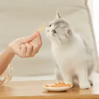 网易严选 肉香浓郁鸡肉金针软丝猫咪零食营养增肥逗猫