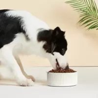 网易严选狗粮通用型全价全期中大型犬成犬金毛拉布拉多哈士奇犬粮
