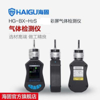 海固H2S彩屏泵吸式检测仪 便携式泵吸检测仪