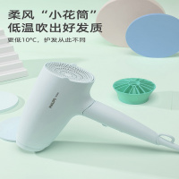 飞利浦(PHILIPS)电吹风机家用负离子小花筒大功率女学生宿舍电吹风筒BHD316 单个装
