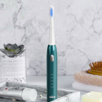 SAMPO 电动牙刷SP-DY002 单个装