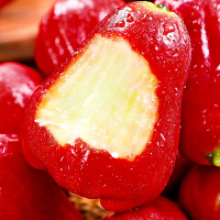 [西沛生鲜]海南红宝石莲雾 热带水果 中果 净重4.5斤 单果50-80g 当季水果 现摘现发 清甜爽口 西沛生鲜