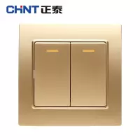 正泰(CHNT)NEW7-L00302 NEW7L/香槟金/二开单控开关