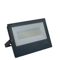 普得为 投光灯100W (单位:个)