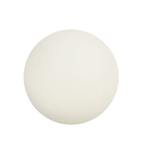 张岐珊 体育用品套餐 B1482(详见销货清单)