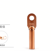 标诺BNVDE DT铜鼻子 酸洗 20个/包 35mm2*78mm