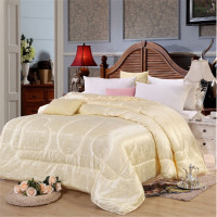 东龙浩宇 贡缎提花蚕丝被 精品盒装