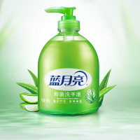 500ML洗手液10瓶装