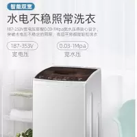 海尔Haier大神童洗衣机全自动波轮洗脱一体小型家用8kg送入户免费安装XQB80-Z1269 8公斤