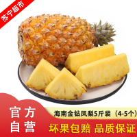 [官方溯源 海南直发]海南金钻凤梨当季水果 手撕无眼香水菠萝 5斤装(4-5个装)