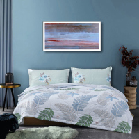 水星家纺 DH青枫天丝夏被