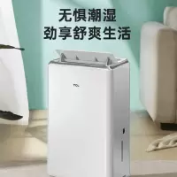 TCL DEWA20E除湿机/台(BY)