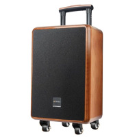 Sansui山水SG10-15商端实木烤漆户外超级拉杆蓝牙K歌音响双无线话筒手机调节