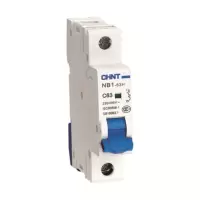 正泰 小型断路器NB1-63/1P(D型)20A(台)LN